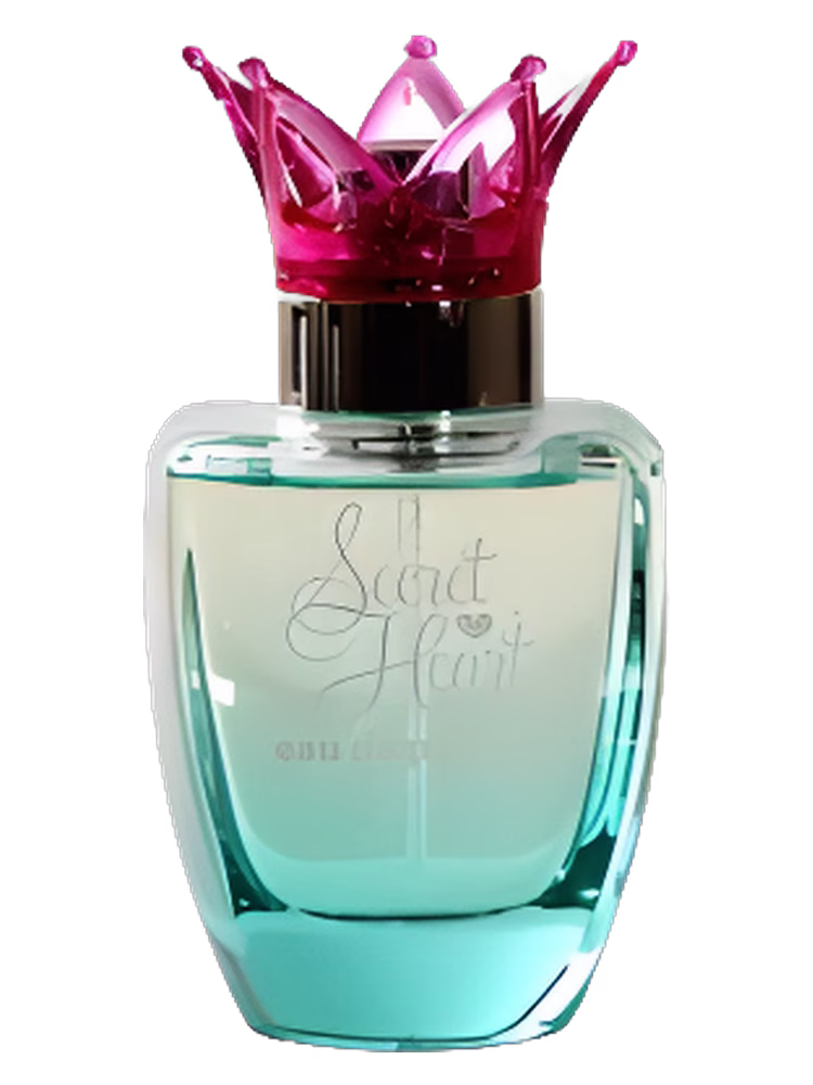 Disney Princess Secret Heart