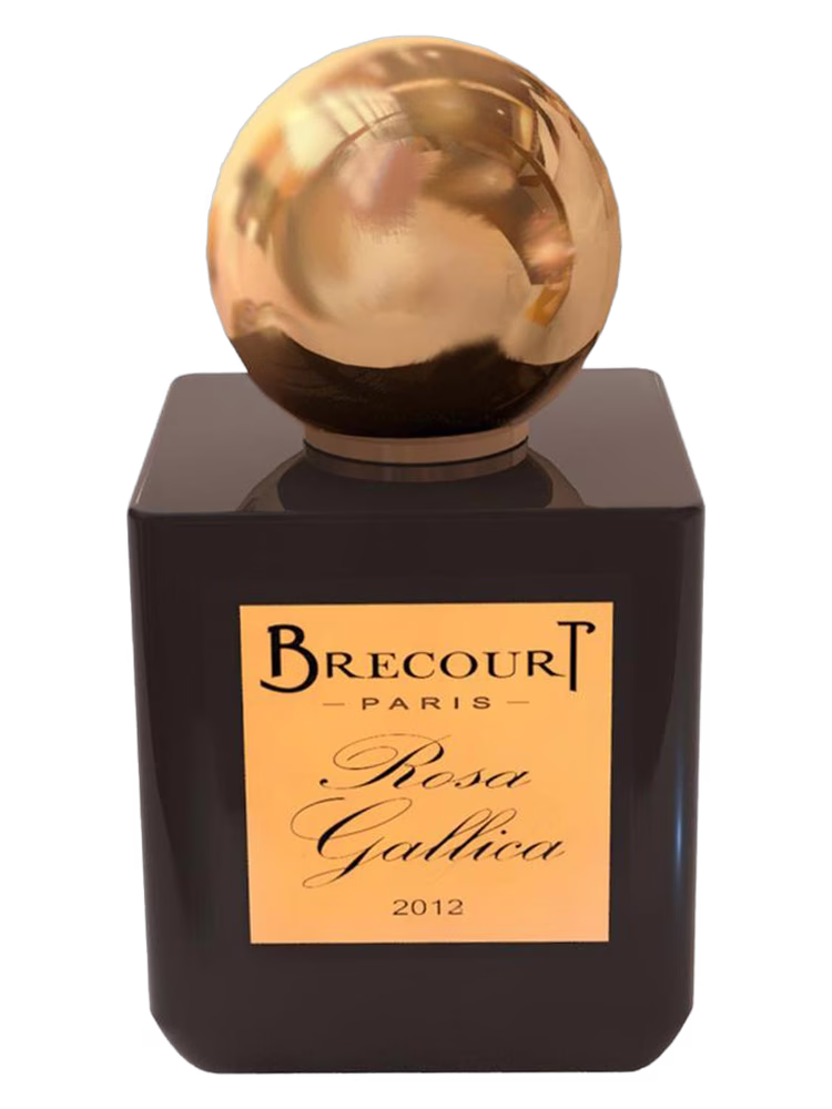 Brecourt Rosa Gallica