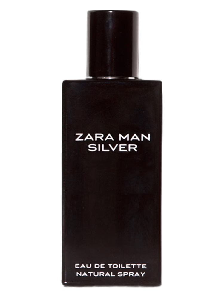 Zara Zara Man Silver