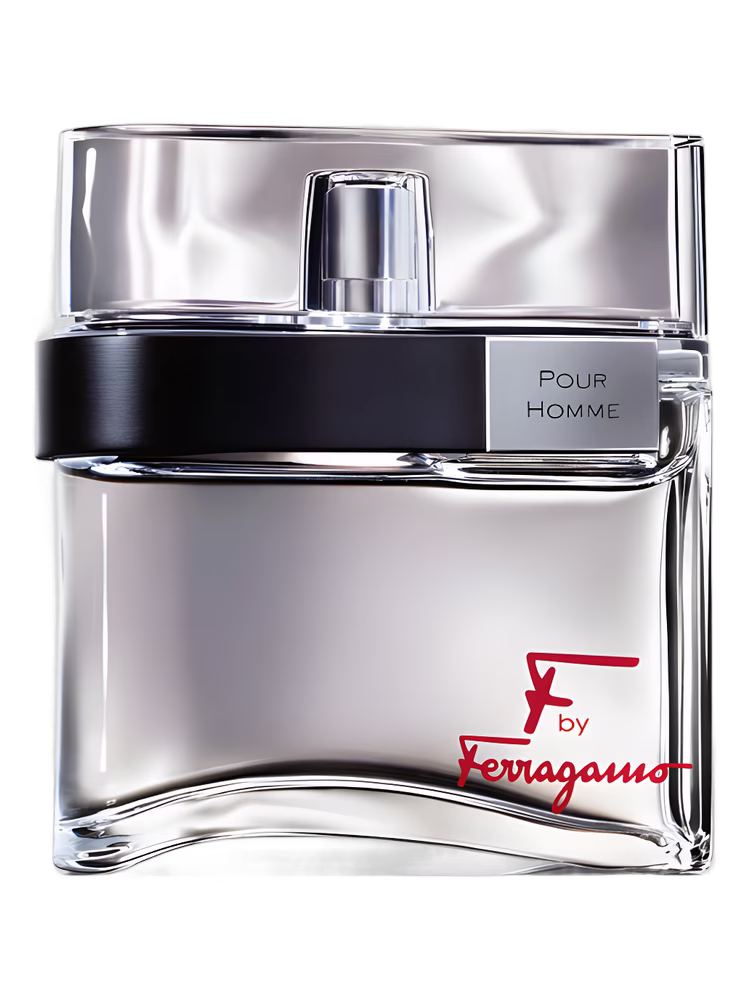 Ferragamo Pour Homme by Salvatore Ferragamo F