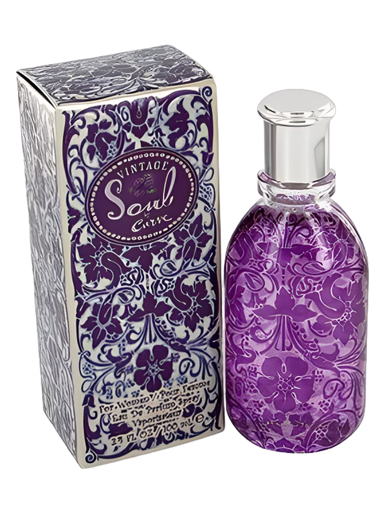 Liz Claiborne Curve Soul Vintage