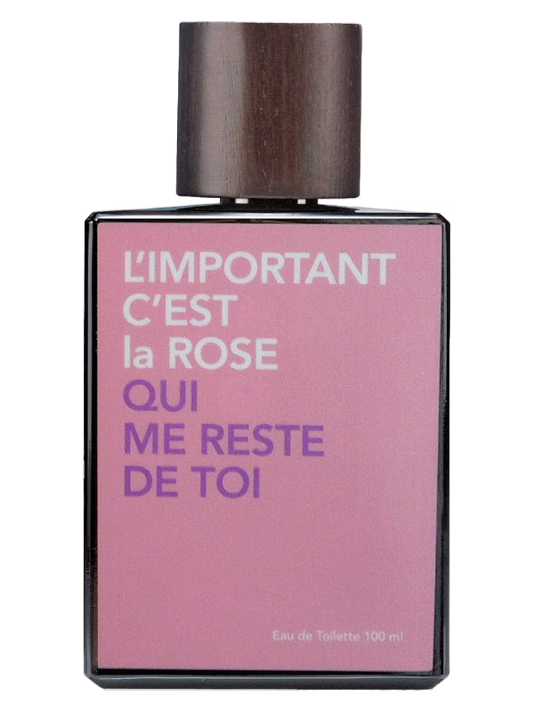 Histoires D'Eaux L'Important C'Est La Rose
