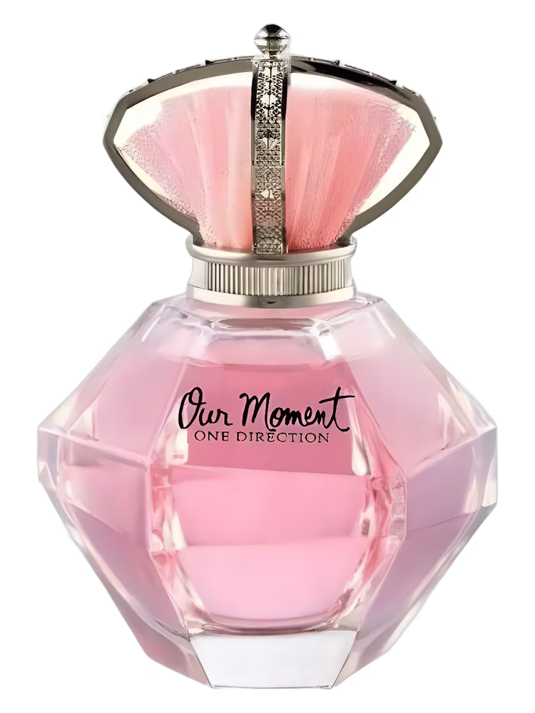 One Direction Our Moment