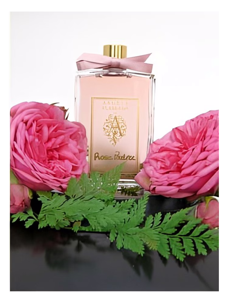 Angela Flanders Rose Poudree