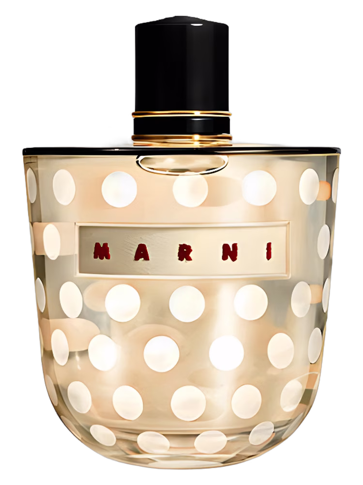 Marni Marni Rose