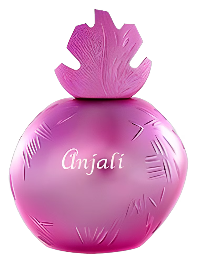 Reminiscence Anjali