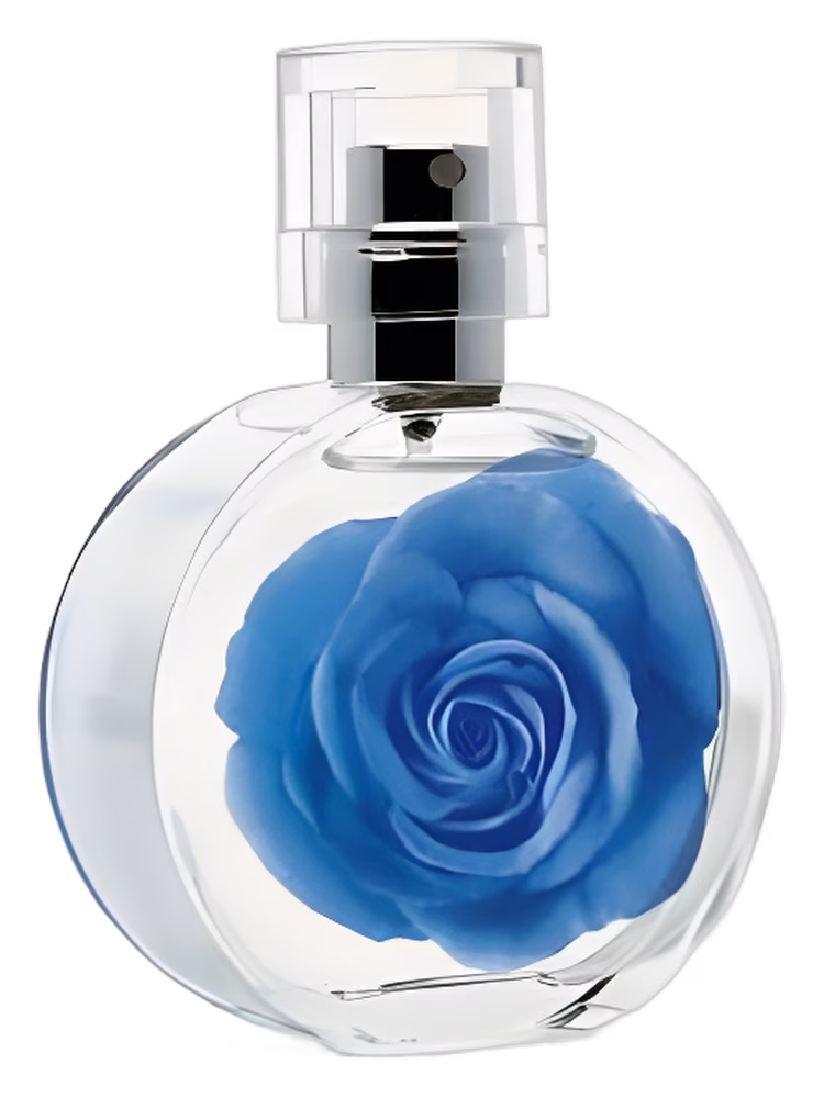 mark. mark Garden Blu