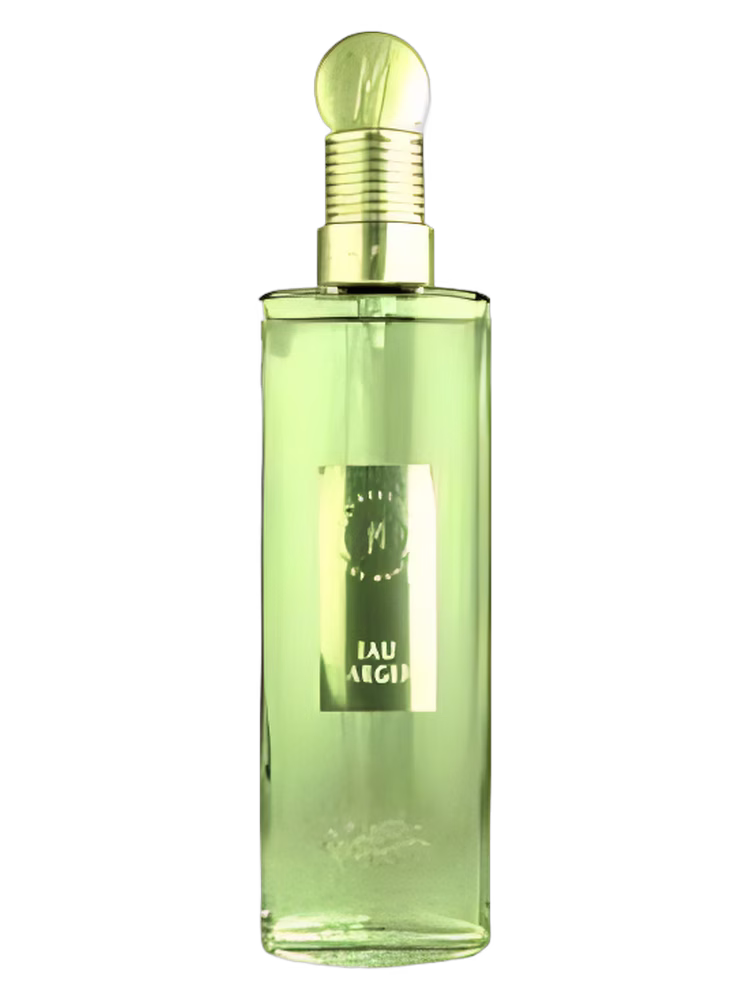 Montana Suggestion Eau d'Argent 1994