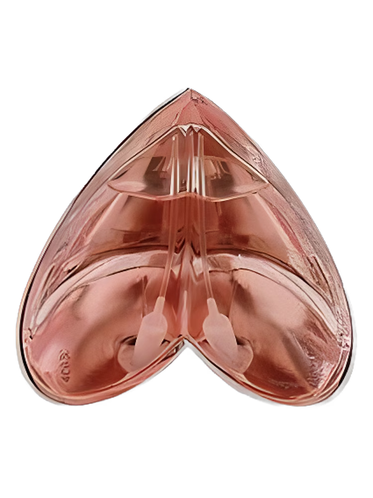 Alexander McQueen Kingdom Limited Edition