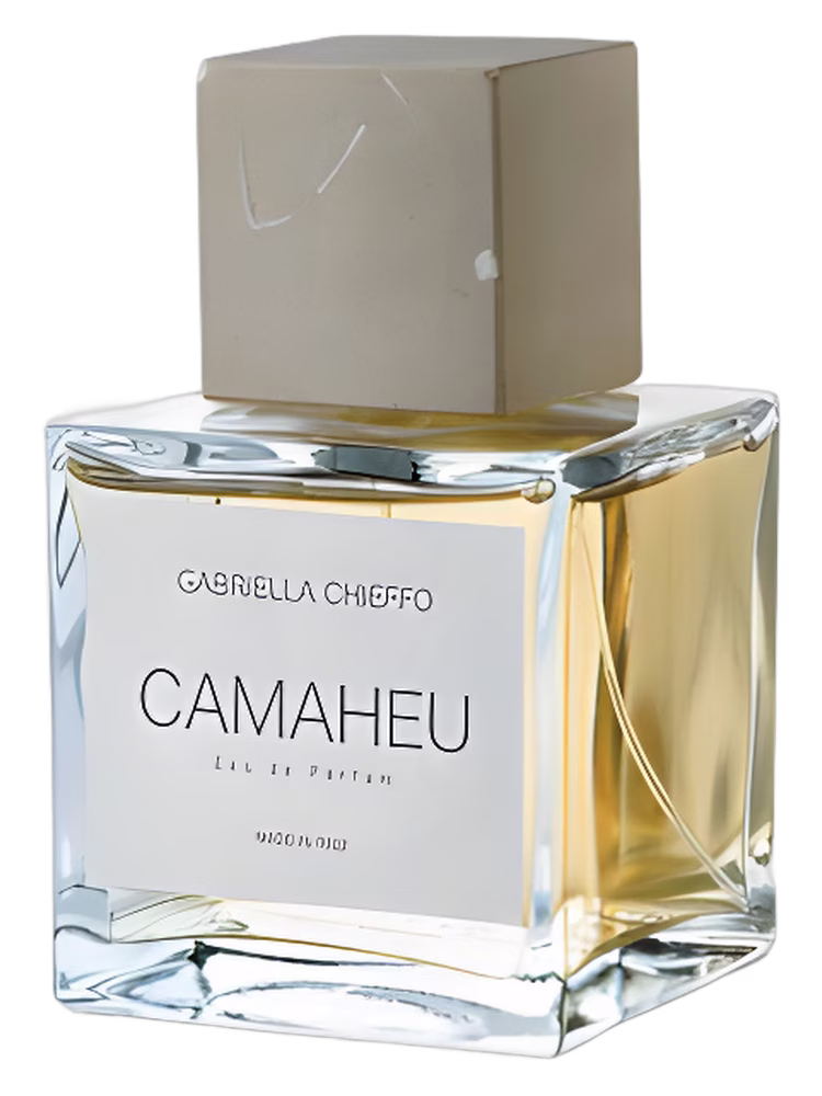 Maison Gabriella Chieffo Camaheu