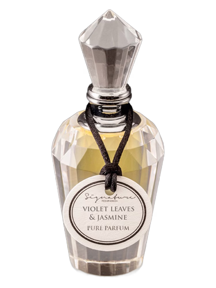 Signature Fragrances Violet Leaves &amp; Jasmine