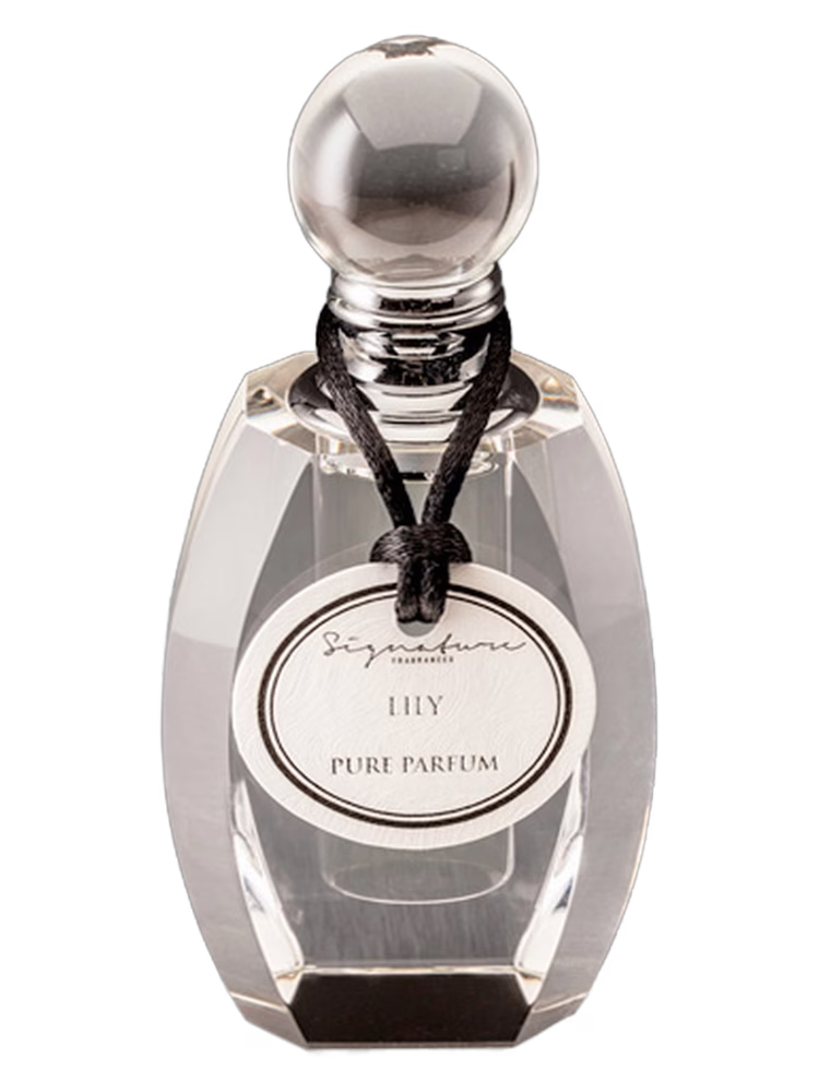 Signature Fragrances Lily