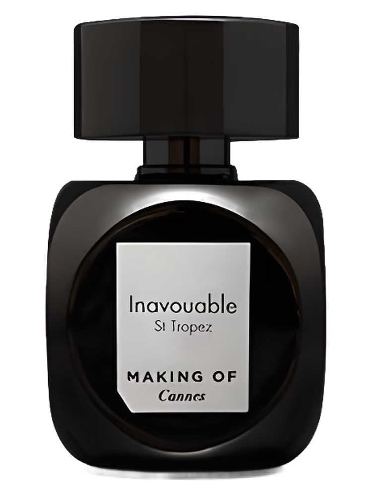 Making of Cannes Inavouable