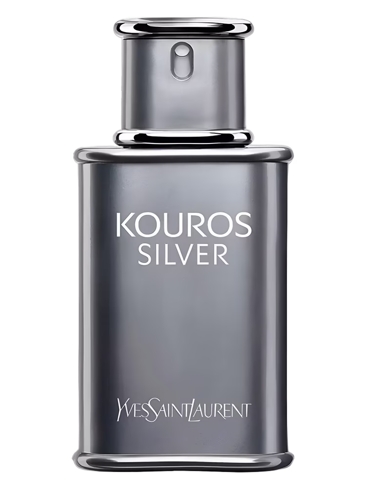 Yves Saint Laurent Yves Saint Laurent Kouros Silver