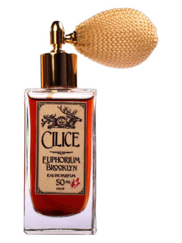 Euphorium Brooklyn Cilice
