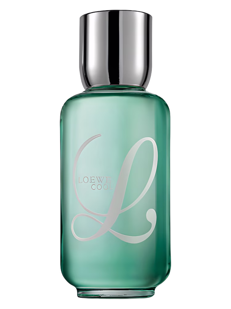 Loewe Loewe L Cool