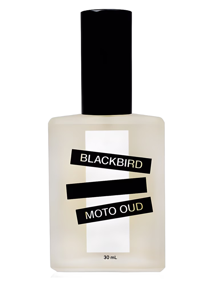 Blackbird Moto Oud