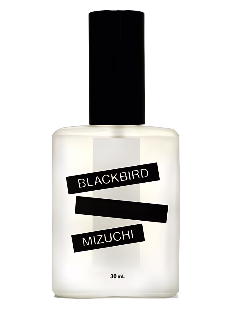 Blackbird Mizuchi
