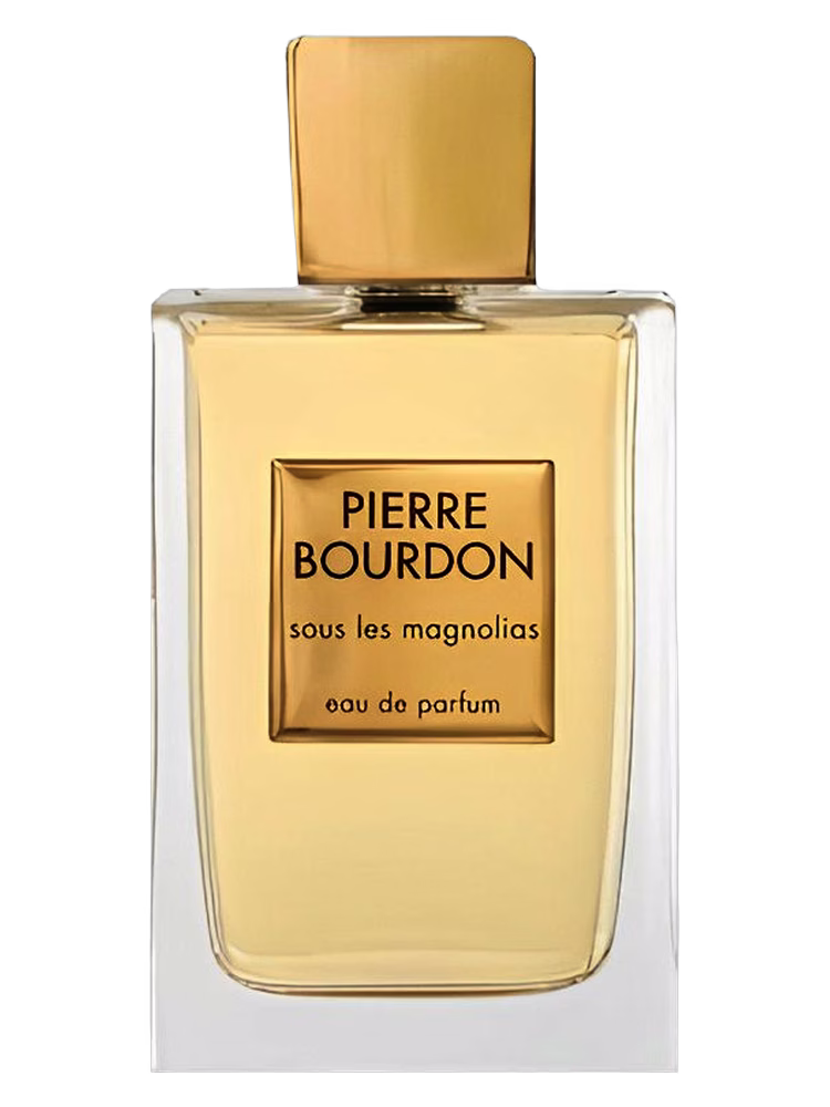 Pierre Bourdon Sous Le Magnolias