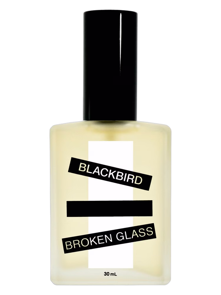 Blackbird Broken Glass