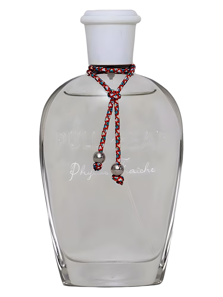 Pull &amp; Bear Phyllis Fraiche