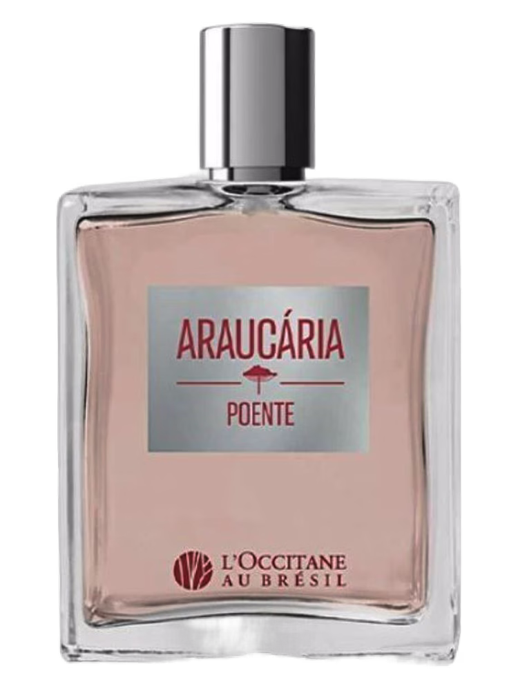 L’Occitane Au Brésil Araucária Poente