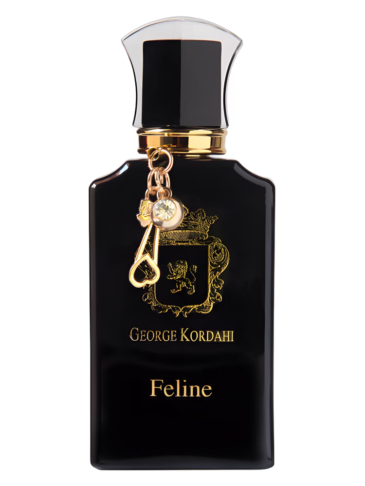 George Kordahi Feline