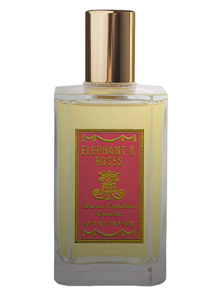 Maria Candida Gentile Elephant &amp; Roses