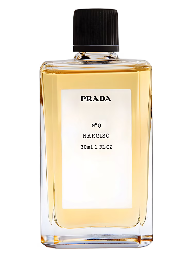 Prada No5 Narciso