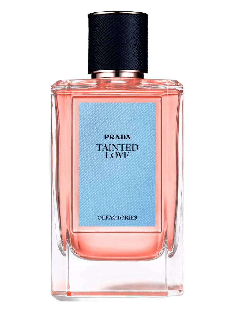 Prada Tainted Love