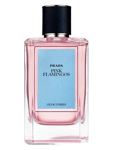 Pink Flamingos Prada perfume - a fragrance for women and men 2015