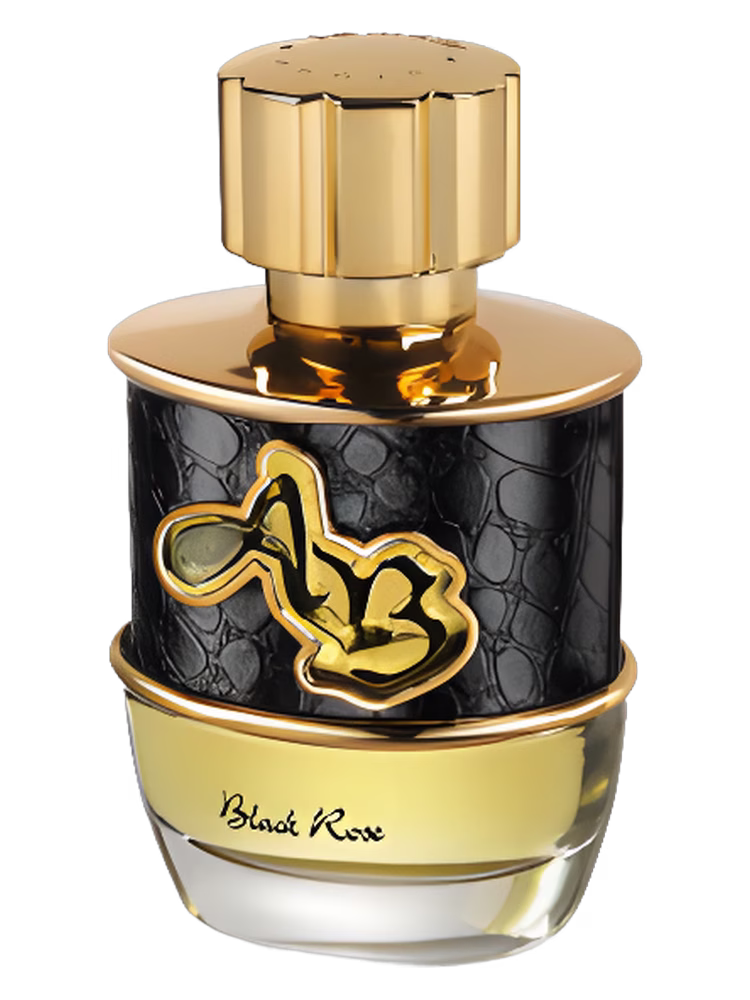 Lomani Ab Spirit Millionaire Black Rose