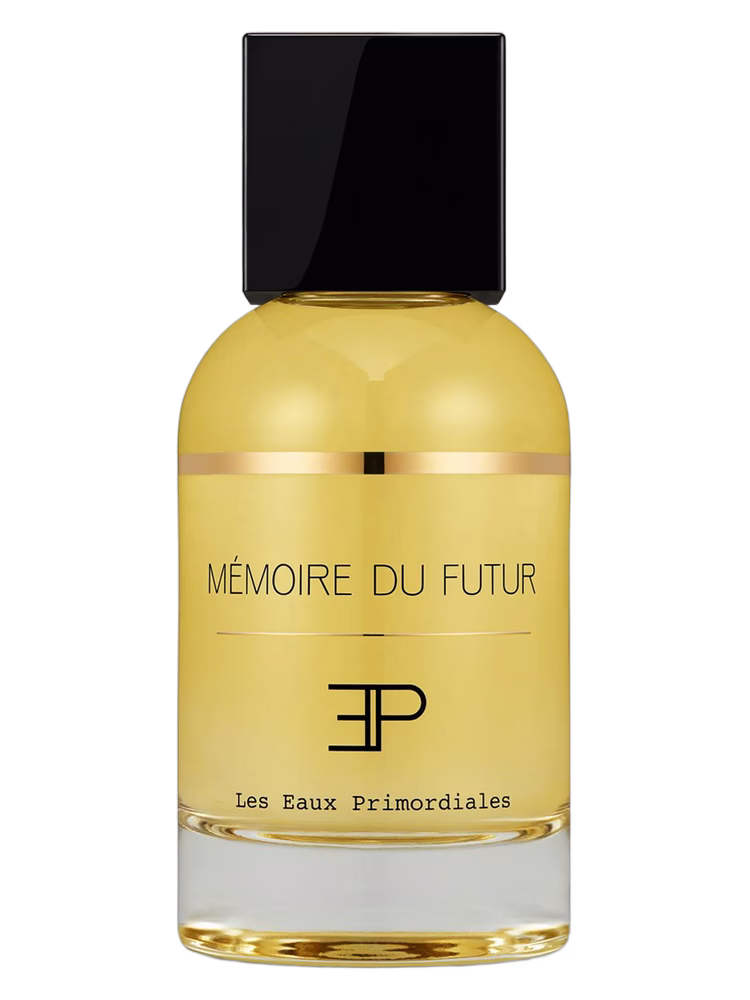 Les EAUX Primordiales Memoire du Futur