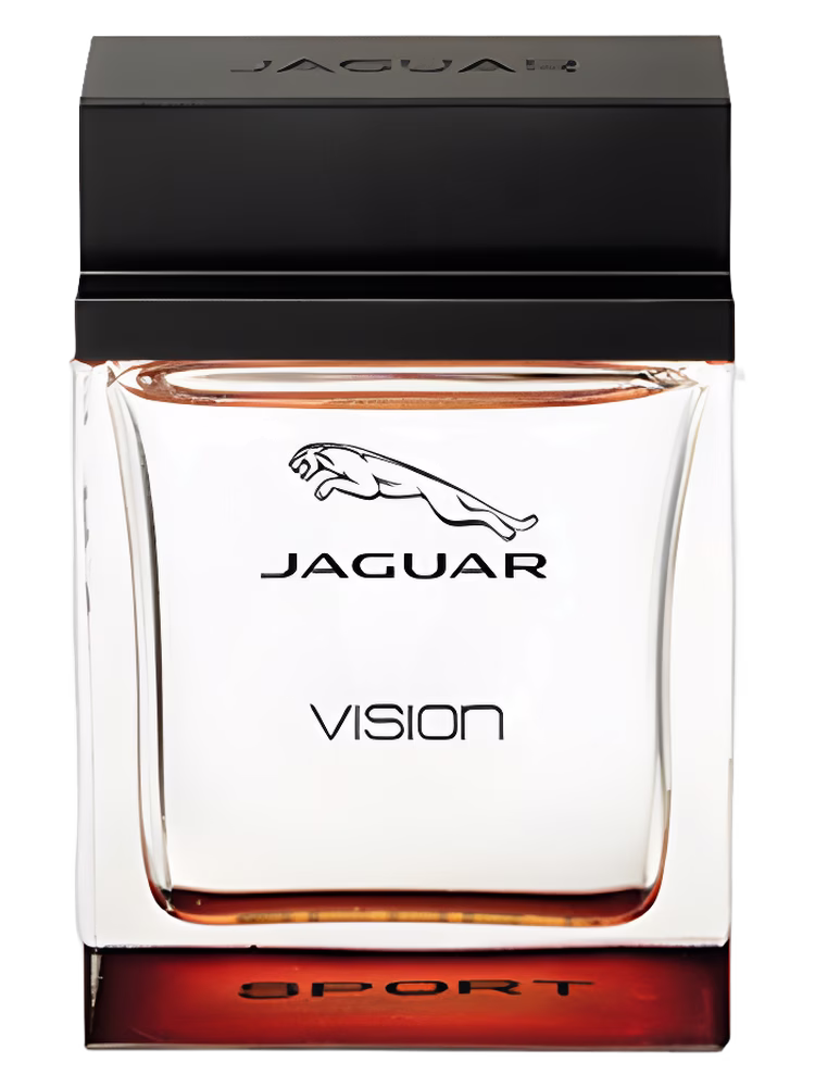 Jaguar Jaguar Vision Sport