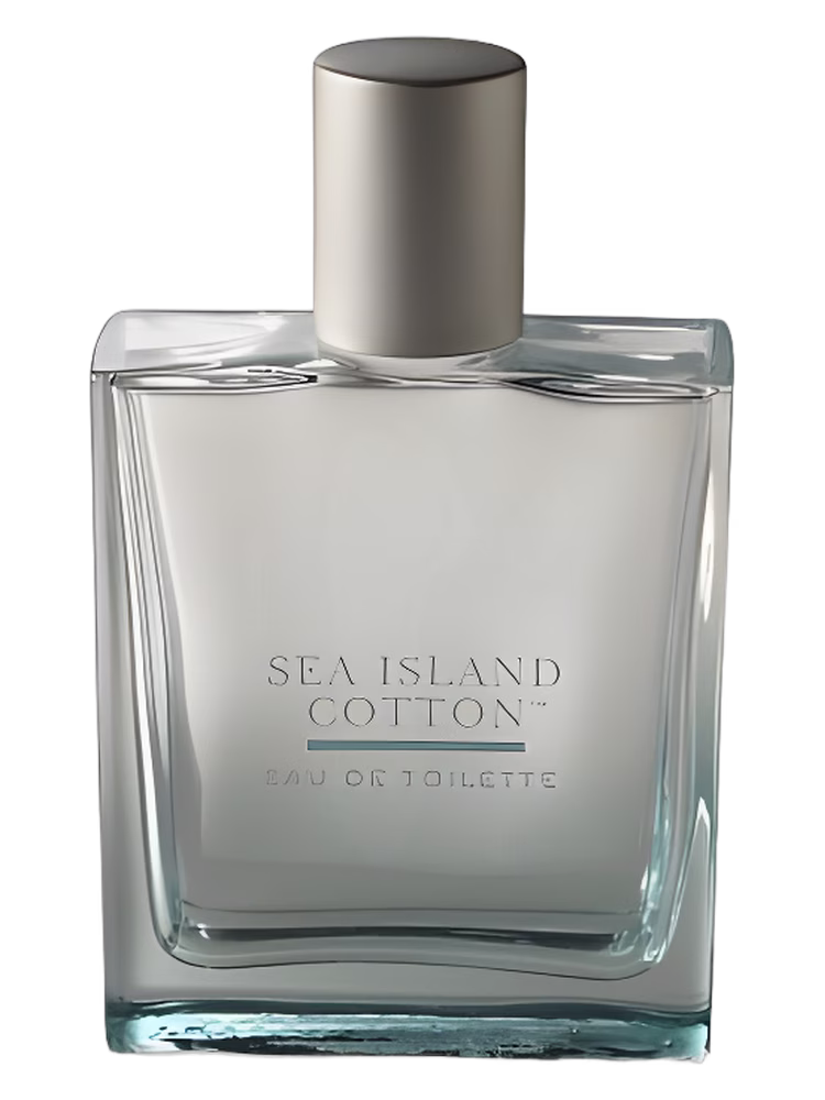 Bath &amp; Body Works Sea Island Cotton