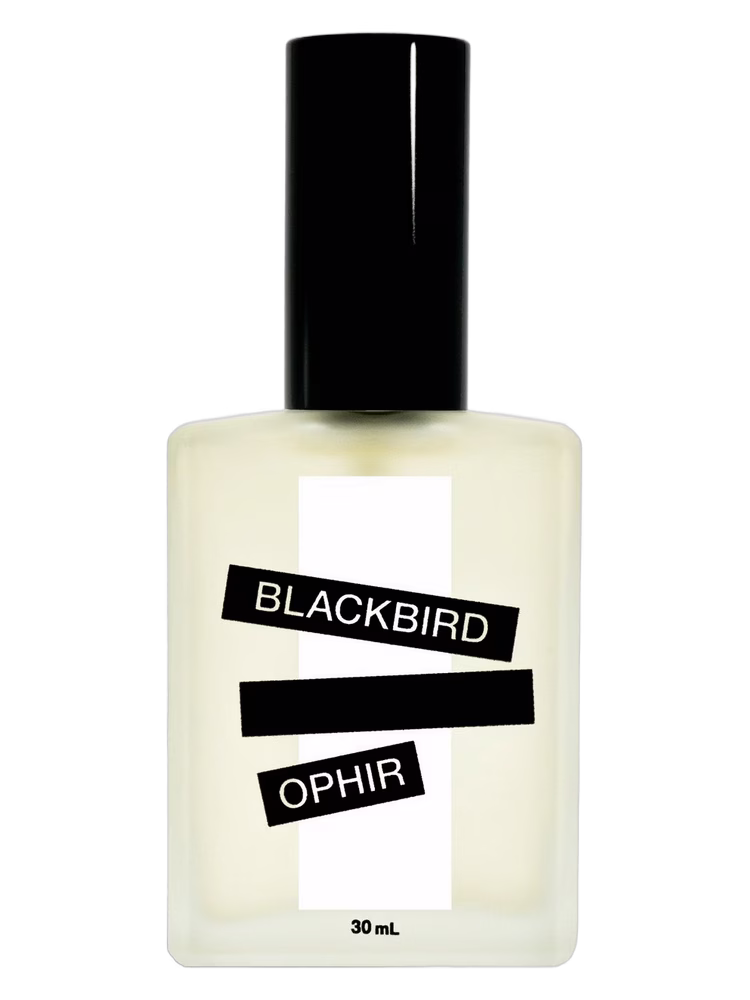 Blackbird Ophir
