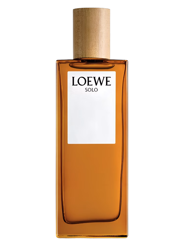 Loewe Solo Loewe