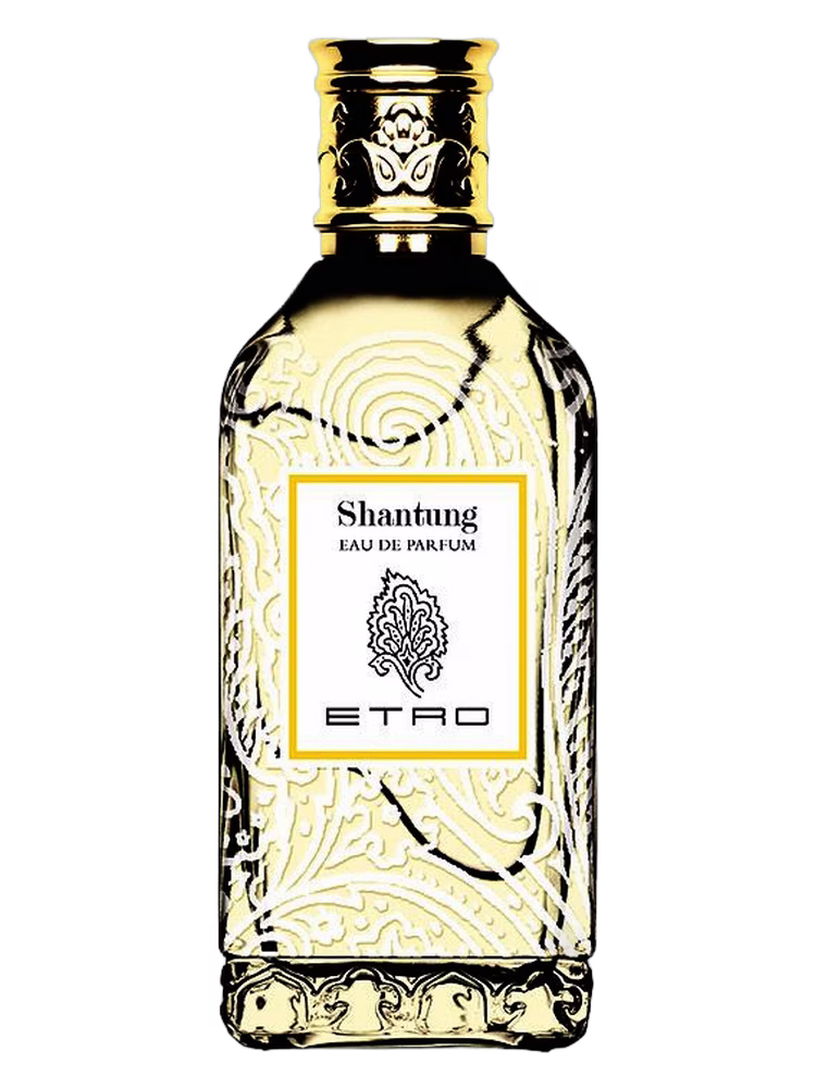 Etro Shantung