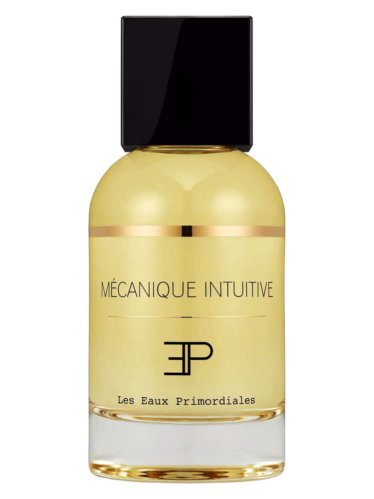 Les EAUX Primordiales Mécanique Intuitive
