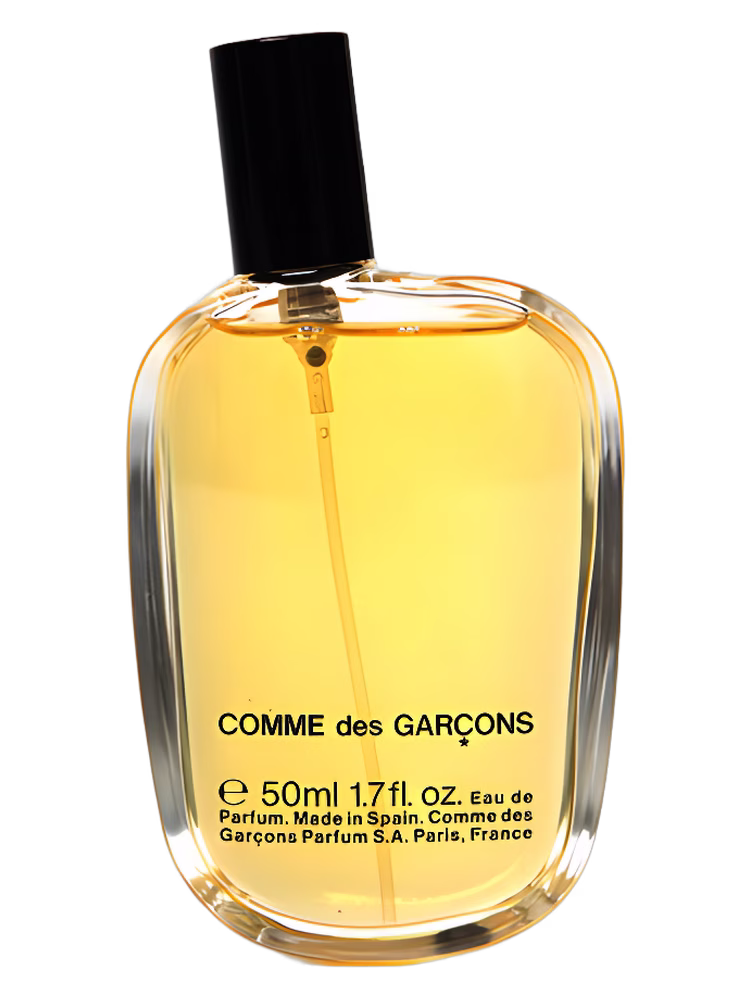 Comme des Garcons Comme des Garcons