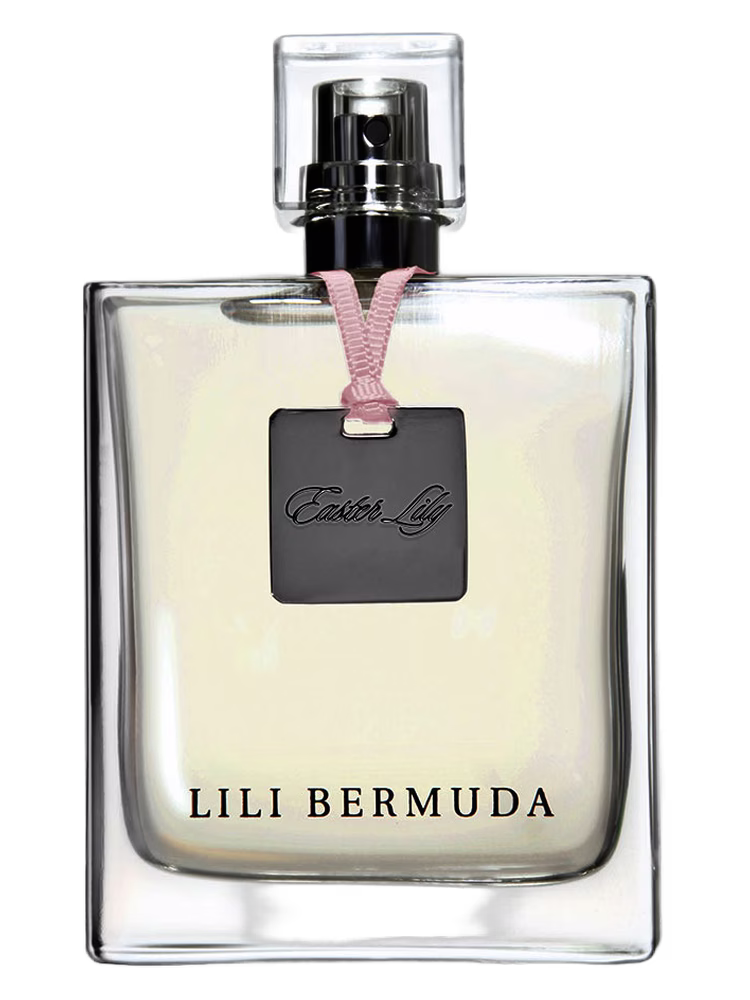 Lili Bermuda Easter Lily