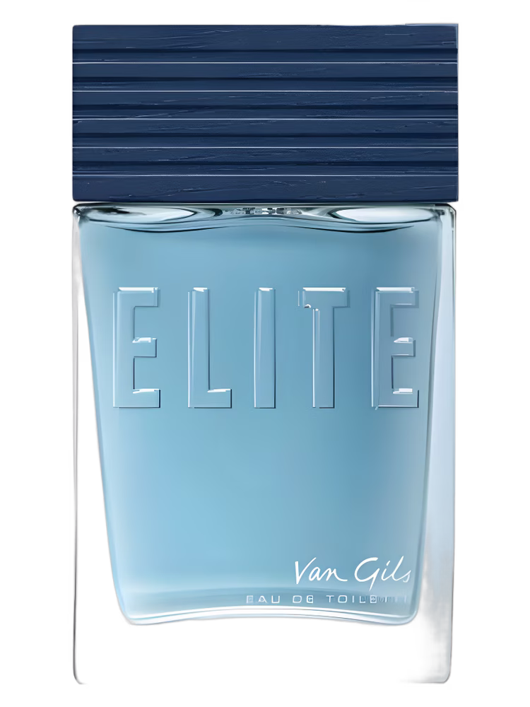 Van Gils Elite