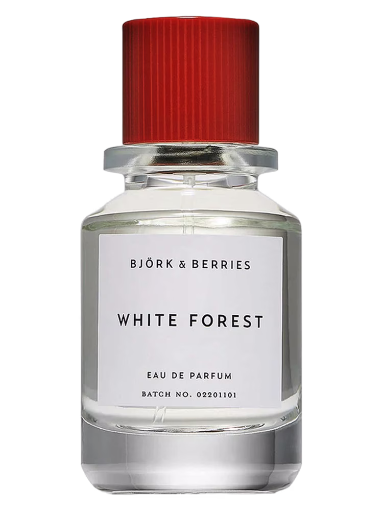 Bjork and Berries White Forest
