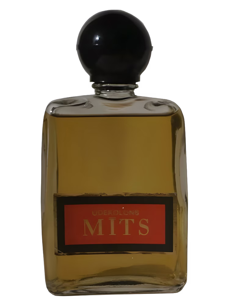 Dzintars Mits (Миф)
