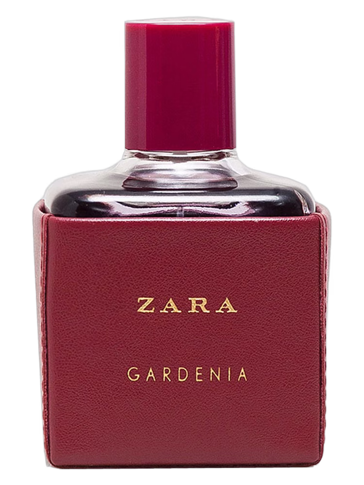 Zara Zara Gardenia 2016