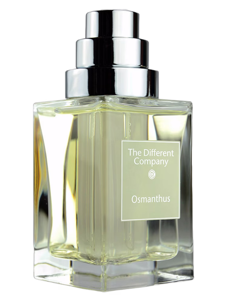 The Different Company Osmanthus