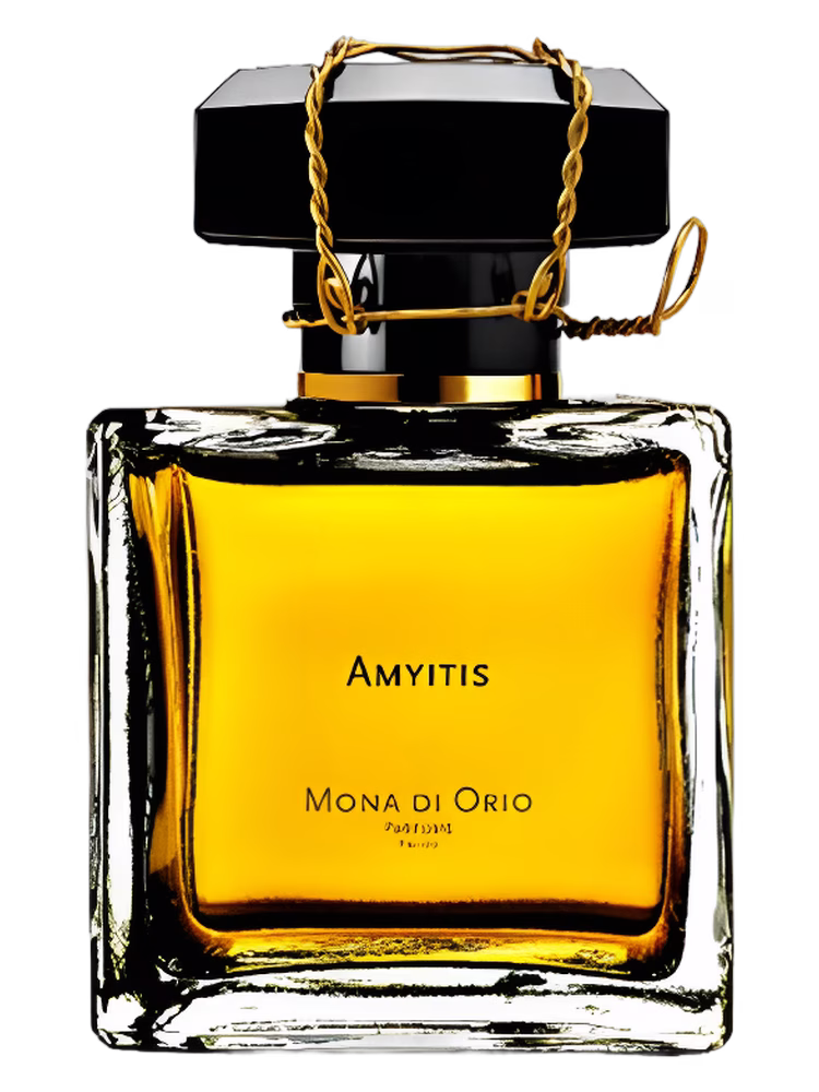 Mona di Orio Amyitis