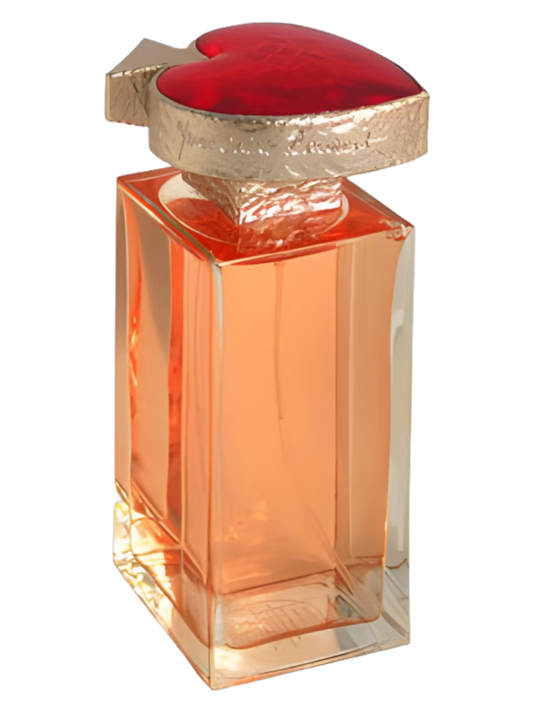 Yves Saint Laurent Vice Versa