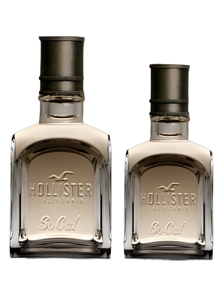 Hollister Socal