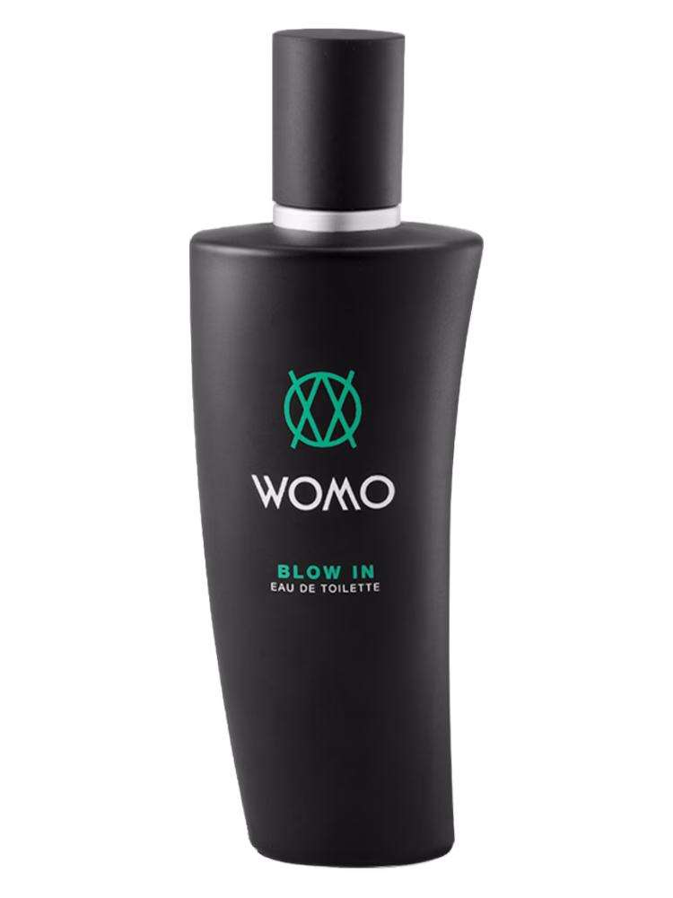 Womo Blow In